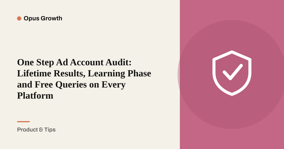 One Step Ad Account Audit: Lifetime Results, Learning Phase and Free Queries on Every Platform